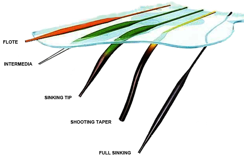Curso de pesca con mosca - La lnea de pesca con mosca - Tipos de lneas