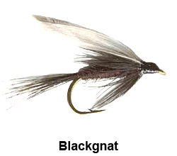 curso de pesca con mosca - moscas - moscas ahogadas - blackgnat