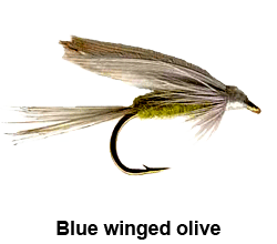 curso de pesca con mosca - moscas - moscas ahogadas - bluewinged