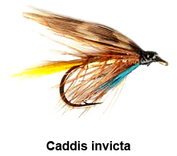 curso de pesca con mosca - moscas - moscas ahogadas - caddis invicta