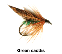curso de pesca con mosca - moscas - moscas ahogadas - green caddis