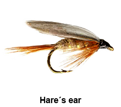 curso de pesca con mosca - moscas - moscas ahogadas - hare's ear