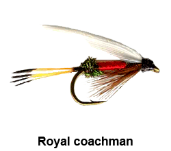 curso de pesca con mosca - moscas - moscas ahogadas - royal coachman