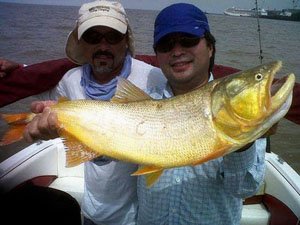 curso de pesca con mosca - salidas de bautismo