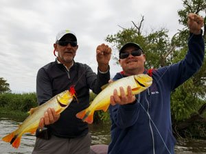 curso de pesca con mosca - salidas de bautismo
