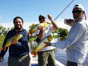 curso de pesca con mosca - salidas de bautismo